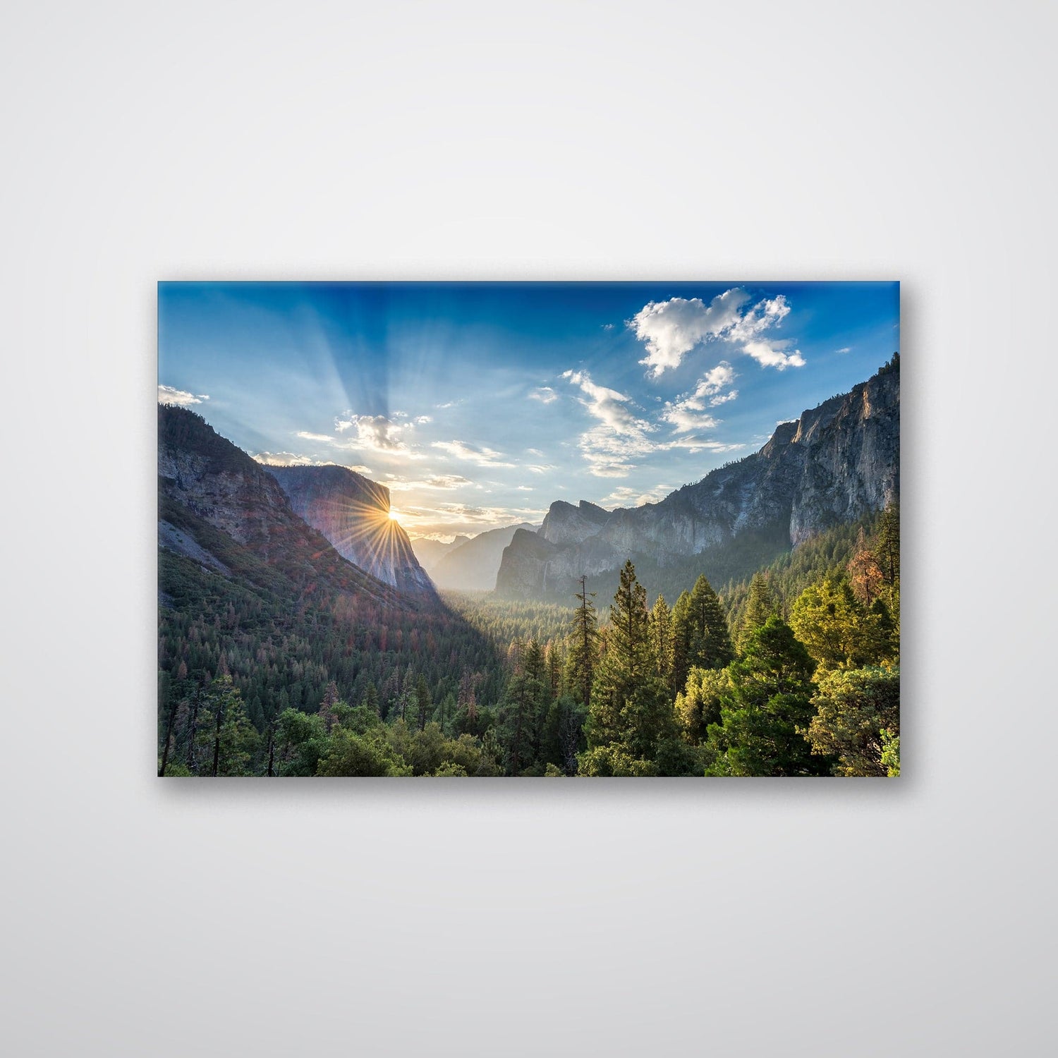 Yosemite Forest - Print