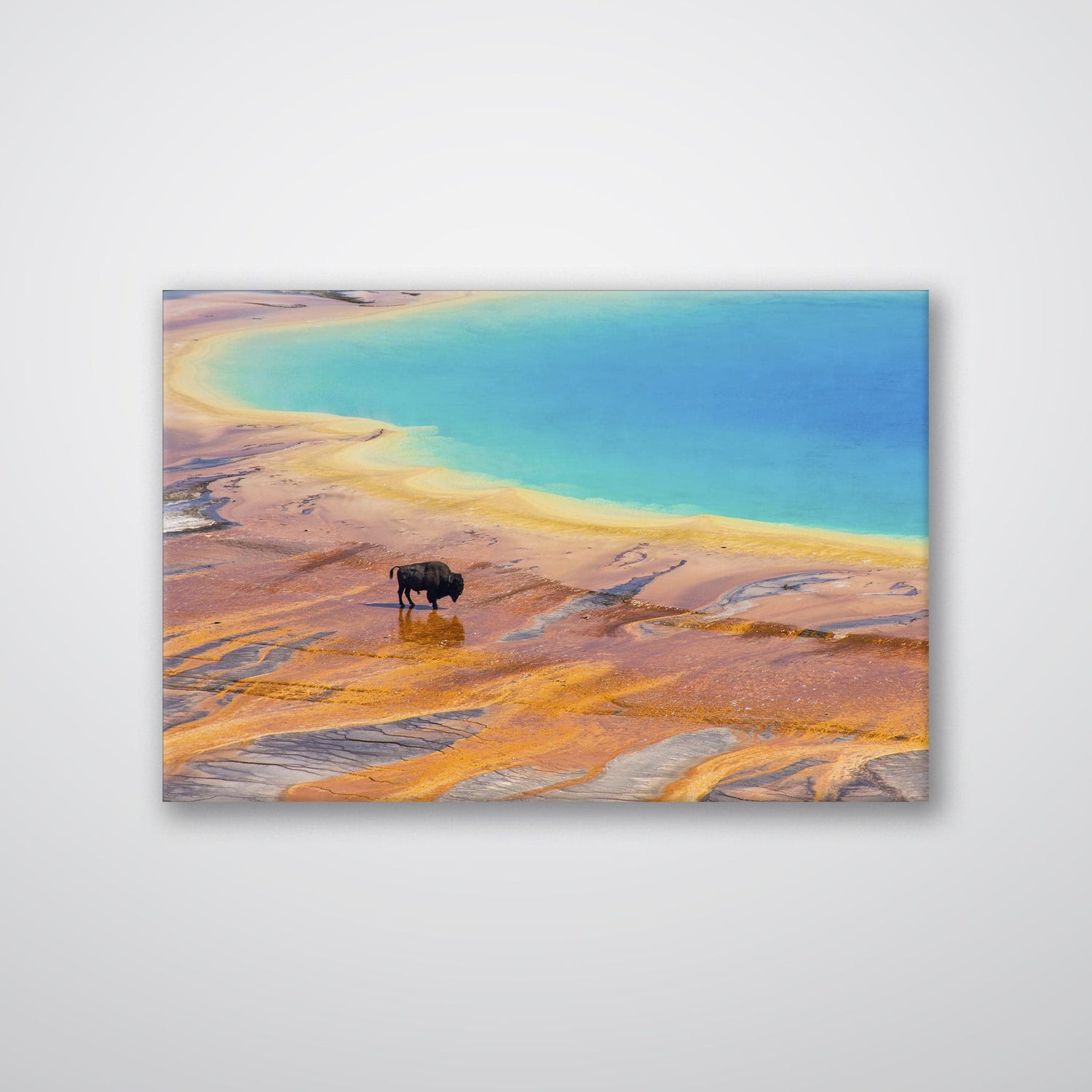 Yellowstone Prismatic Spring - Print